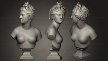 Busts and heads antique and historical (BUSTA_0017) 3D model for CNC machine